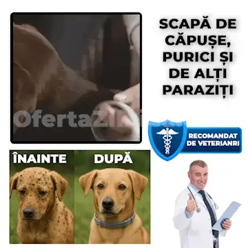 Zgarda Antiparaziți PETPROTECT™