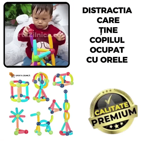 Set Jucarii Magnetice    MagniPlay™