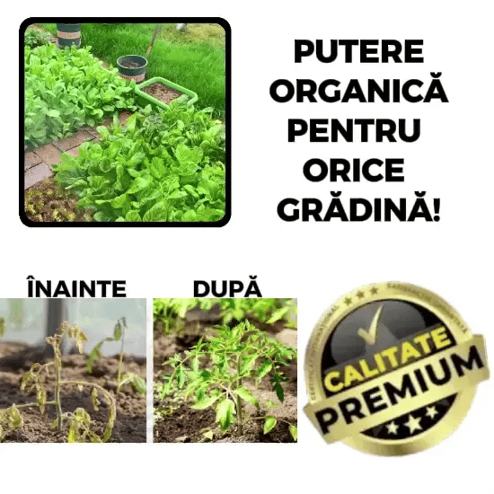 Soluție Fertilizatoare Pentru Grădină FertiliMax™