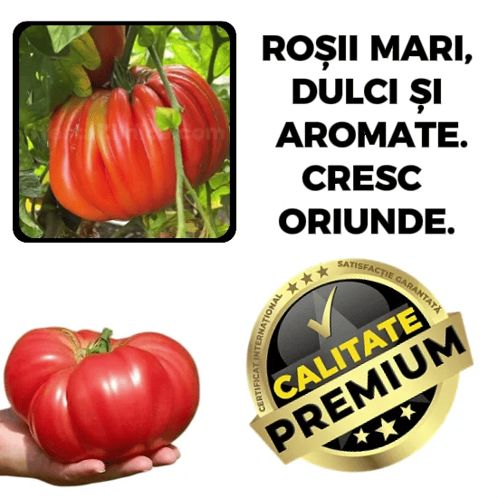 Roșii Gigantice - RoșiiKing™