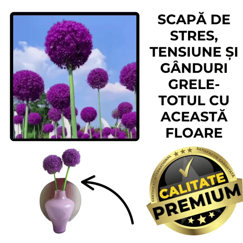 Florile Uriașe- MagicBloom™
