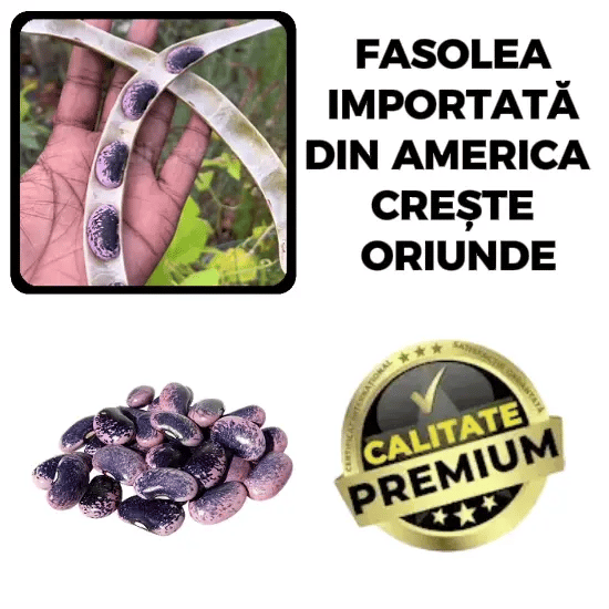 Crește Oriunde, Rodește Mult! - SuperBOB™