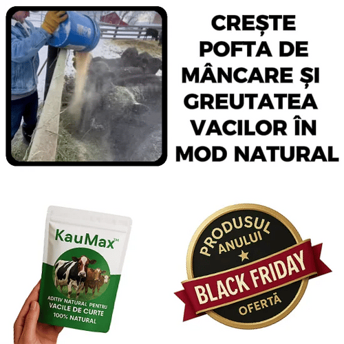 Ajută la creșterea în greutate a vacilor KauMax™