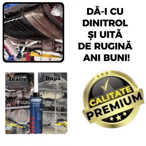 Spray Pentru Rugină! DINITROL™